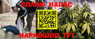 спайс Бузулук