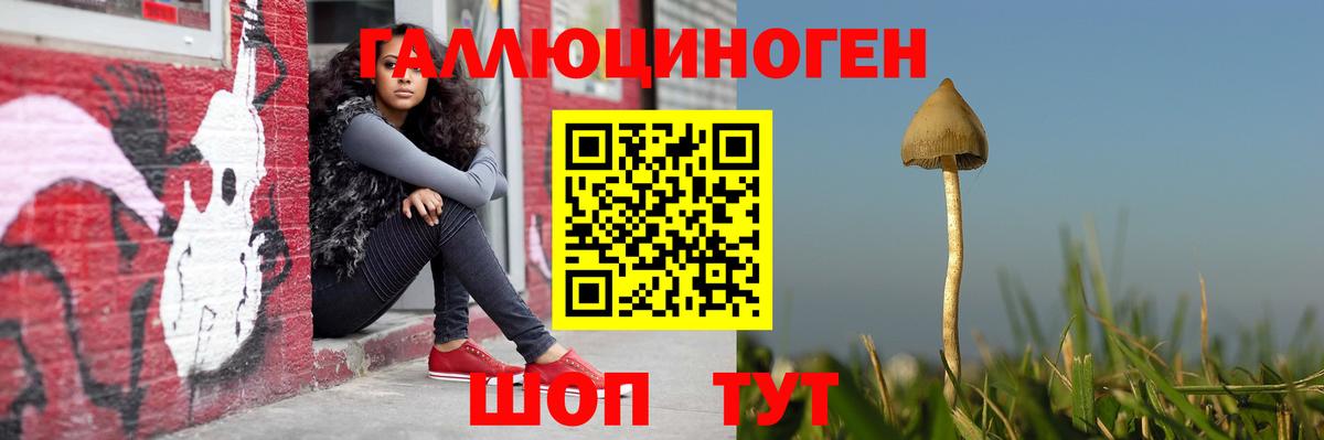 Архангельск  Галлюциногенные грибы Cubensis  Вход с VPN  Псилоцибиновые грибы прущие грибы 